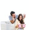 EverShow Humidifier Wick Filter 1043-5