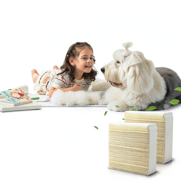 Essick Air Humidifier Replacement Wick Filter 1043 by Funmit-6